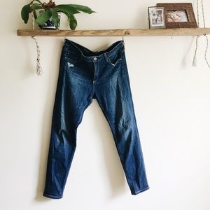Anthropologie AG Stevie Jeans